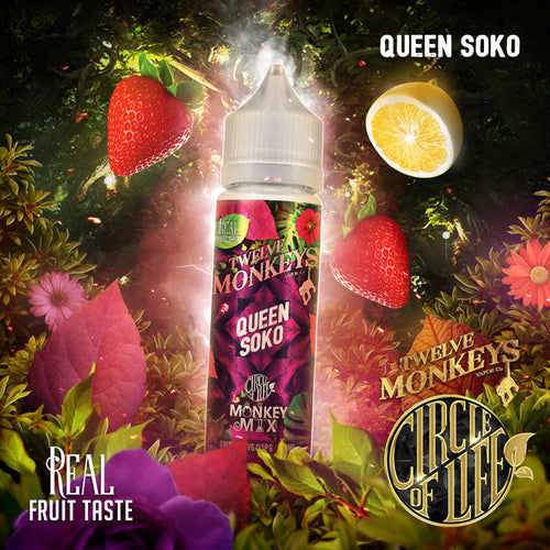 Next Day Vape