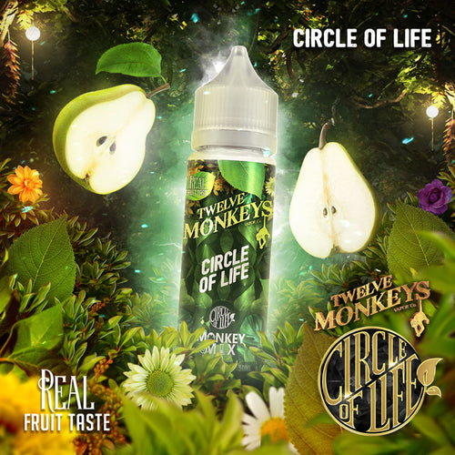 Next Day Vape