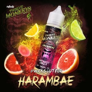 12 Monkeys – Harambae E-liquid