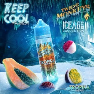 Twelve Monkeys – Tropika Iced