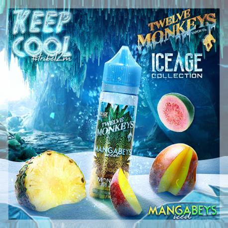 Twelve Monkeys – Mangabeys Iced