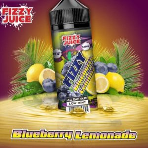 MOHAWK & CO Fizzy Blueberry Lemonade 100ML